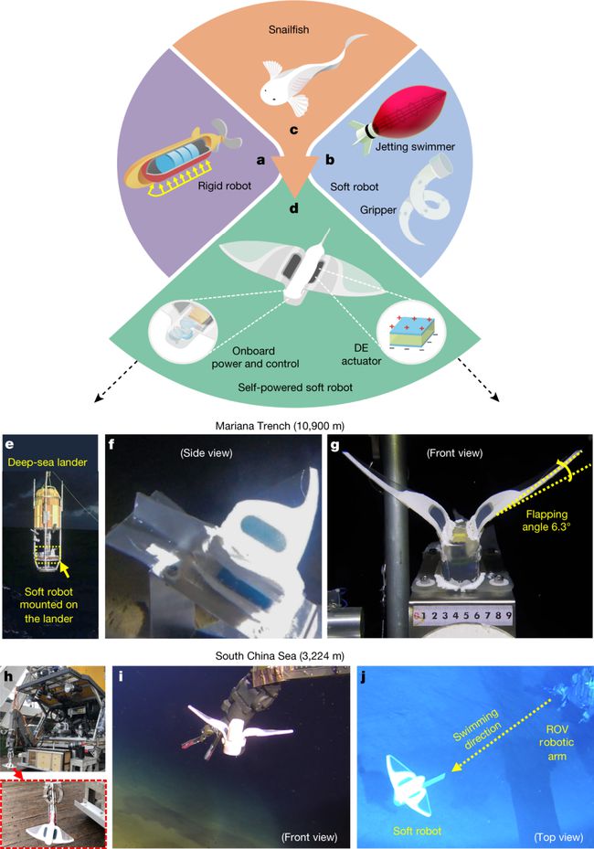工业之美丨中国软体机器人突破万米级深潜，刷新世界纪录