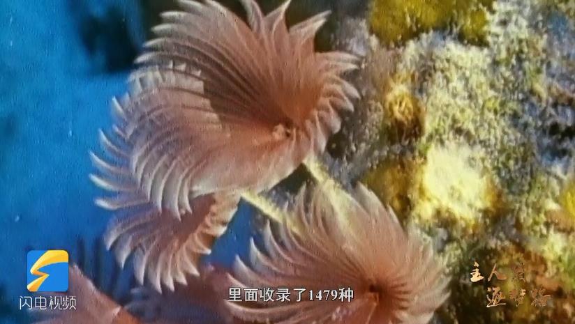 主人翁 逐梦路丨全球14款现代海洋新药中,有两款是这位山东人研发的 主人翁 逐梦路丨全球14款现代海洋新药中,有两款是这位山东人研发的
